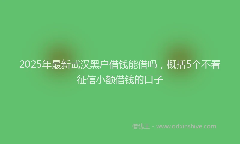 2025年最新武汉黑户借钱能借吗，概括5个不看征信小额借钱的口子
