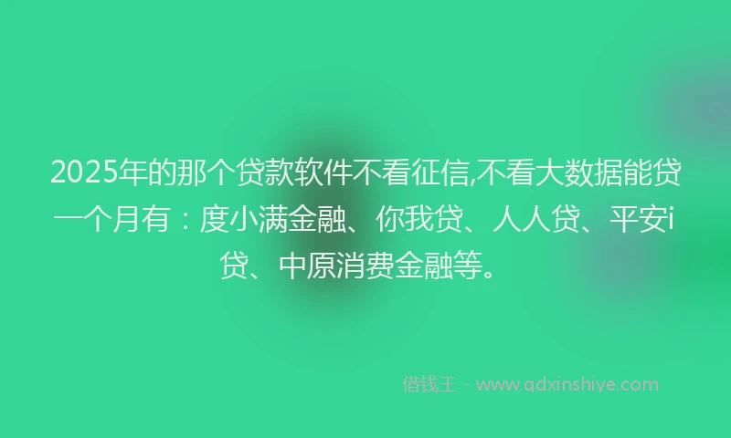 2025年的那个贷款软件不看征信,不看大数据能贷一个月有：度小满金融、你我贷、人人贷、平安i贷、中原消费金融等。