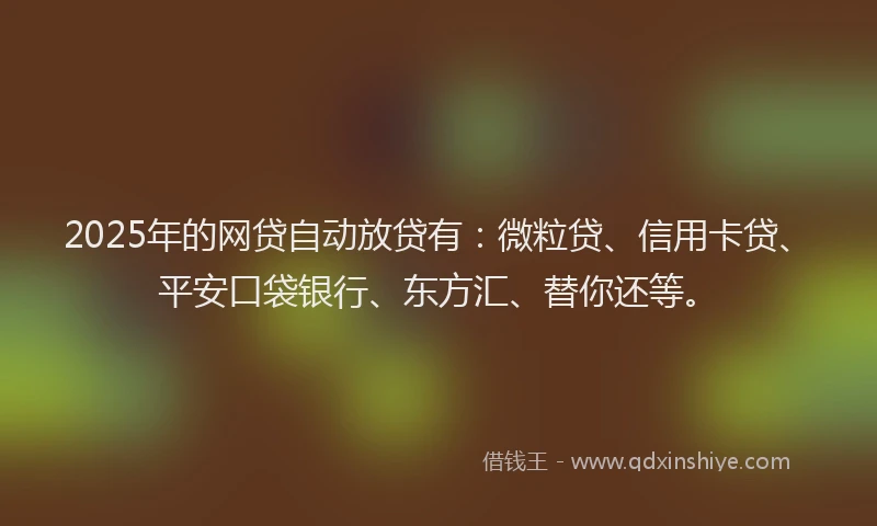 2025年的网贷自动放贷有：微粒贷、信用卡贷、平安口袋银行、东方汇、替你还等。