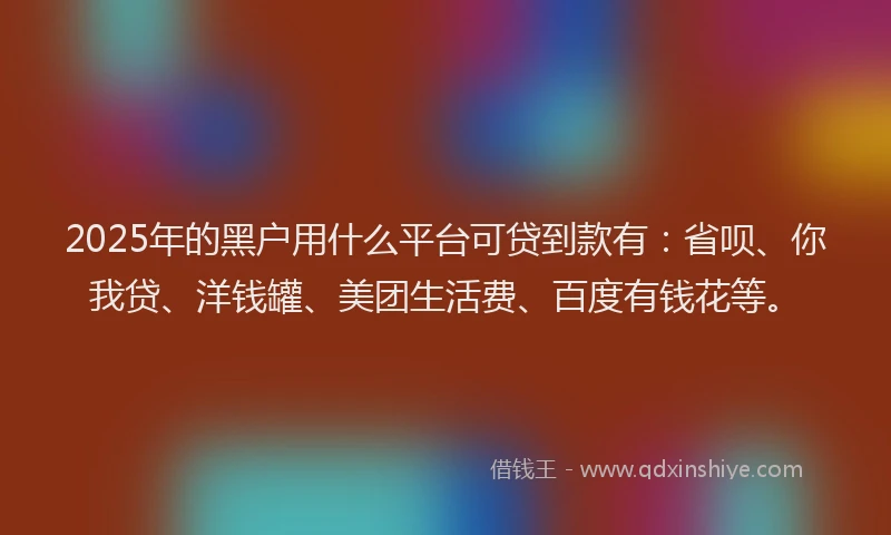 2025年的黑户用什么平台可贷到款有：省呗、你我贷、洋钱罐、美团生活费、百度有钱花等。