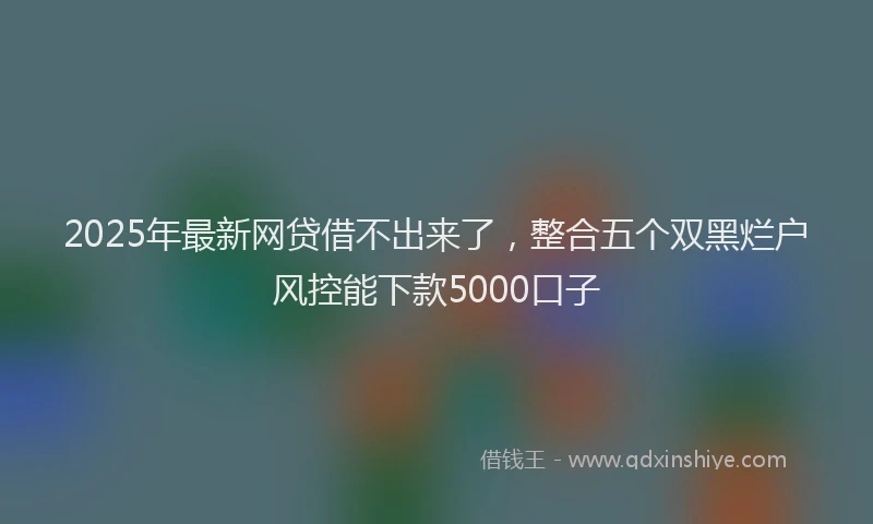 2025年最新网贷借不出来了，整合五个双黑烂户风控能下款5000口子