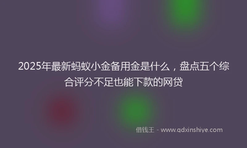 2025年最新蚂蚁小金备用金是什么，盘点五个综合评分不足也能下款的网贷