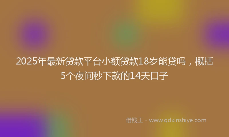 2025年最新贷款平台小额贷款18岁能贷吗，概括5个夜间秒下款的14天口子