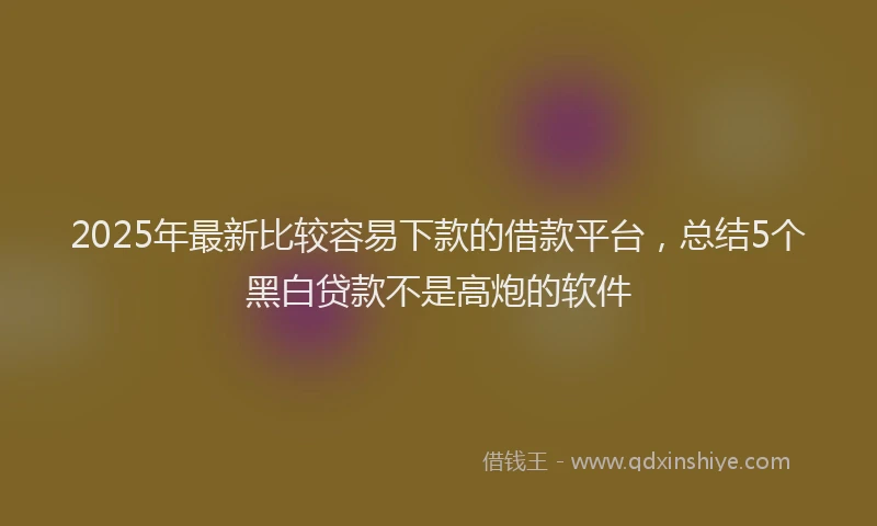2025年最新比较容易下款的借款平台，总结5个黑白贷款不是高炮的软件
