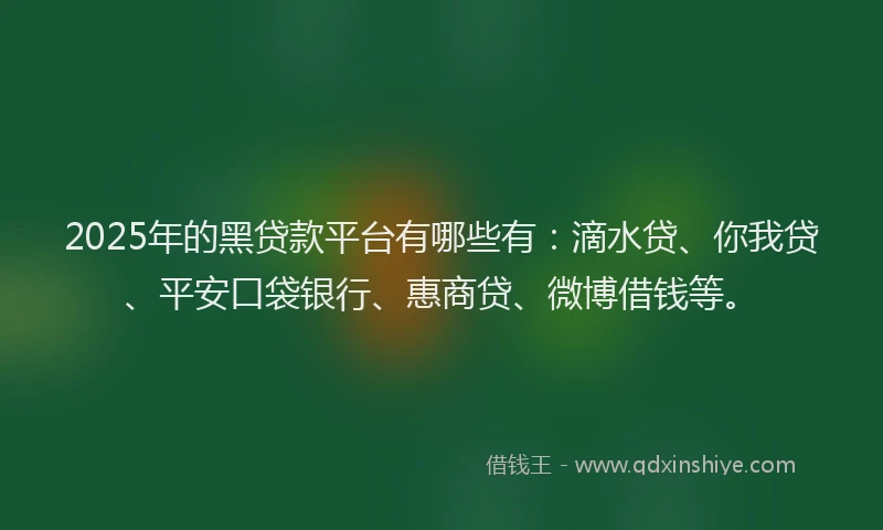 2025年的黑贷款平台有哪些有：滴水贷、你我贷、平安口袋银行、惠商贷、微博借钱等。
