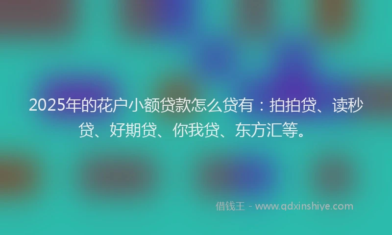 2025年的花户小额贷款怎么贷有：拍拍贷、读秒贷、好期贷、你我贷、东方汇等。