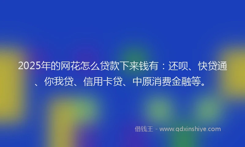 2025年的网花怎么贷款下来钱有：还呗、快贷通、你我贷、信用卡贷、中原消费金融等。
