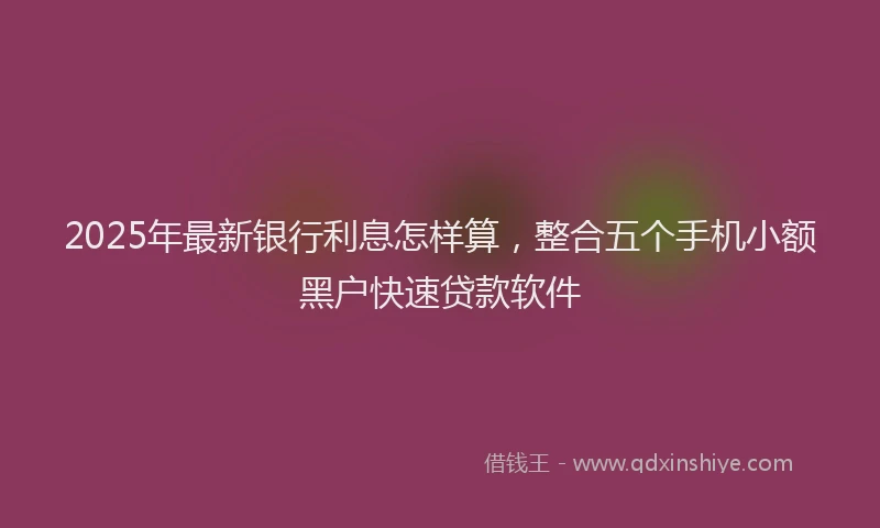 2025年最新银行利息怎样算，整合五个手机小额黑户快速贷款软件