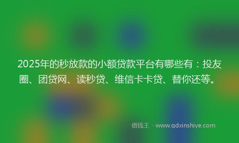 2025年的秒放款的小额贷款平台有哪些有：投友圈、团贷网、读秒贷、维信卡卡贷、替你还等。