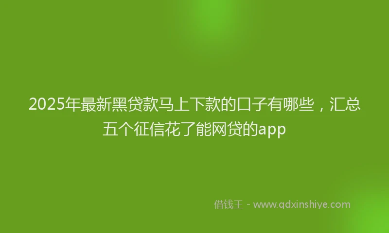 2025年最新黑贷款马上下款的口子有哪些，汇总五个征信花了能网贷的app