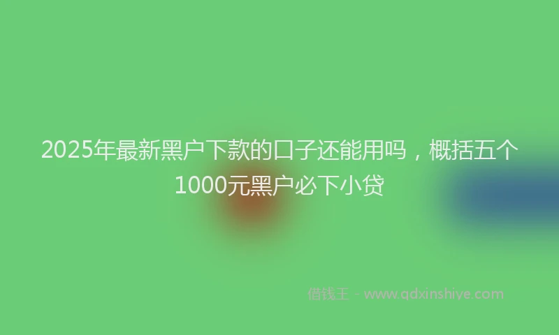 2025年最新黑户下款的口子还能用吗，概括五个1000元黑户必下小贷