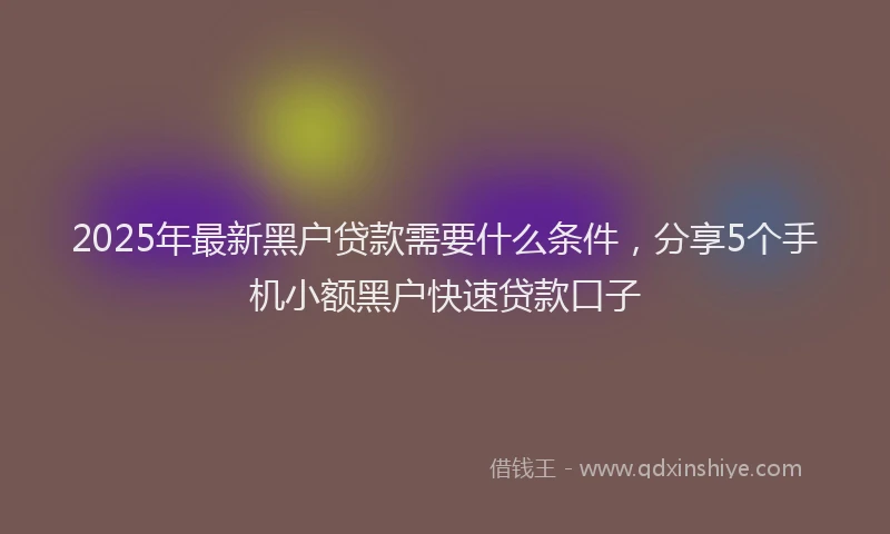 2025年最新黑户贷款需要什么条件，分享5个手机小额黑户快速贷款口子