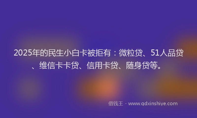 2025年的民生小白卡被拒有：微粒贷、51人品贷、维信卡卡贷、信用卡贷、随身贷等。