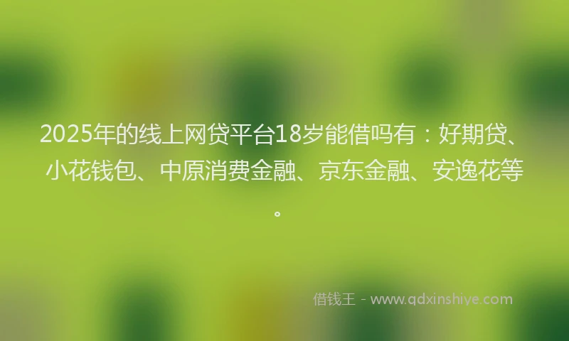 2025年的线上网贷平台18岁能借吗有：好期贷、小花钱包、中原消费金融、京东金融、安逸花等。