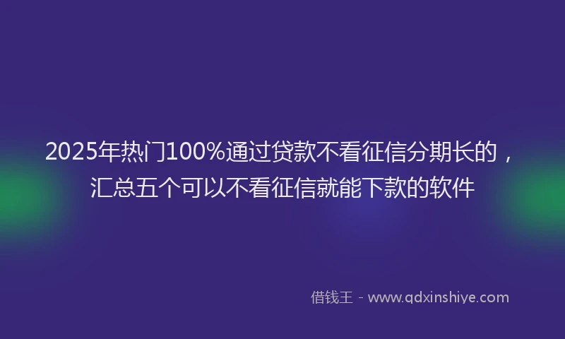 2025年热门100%通过贷款不看征信分期长的，汇总五个可以不看征信就能下款的软件
