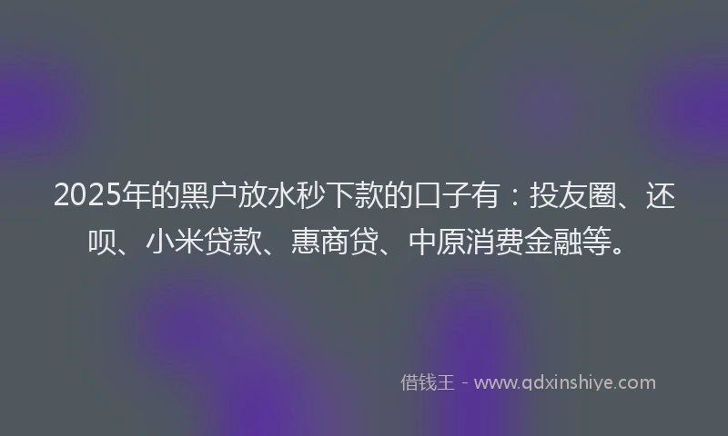 2025年的黑户放水秒下款的口子有：投友圈、还呗、小米贷款、惠商贷、中原消费金融等。