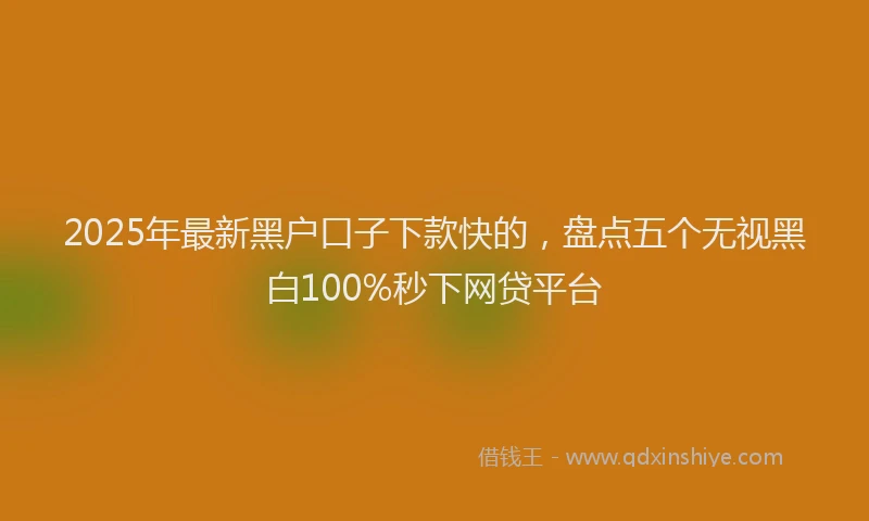 2025年最新黑户口子下款快的，盘点五个无视黑白100%秒下网贷平台