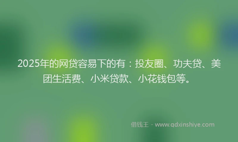 2025年的网贷容易下的有：投友圈、功夫贷、美团生活费、小米贷款、小花钱包等。