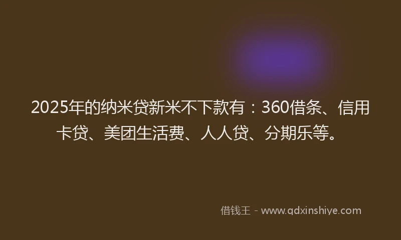 2025年的纳米贷新米不下款有：360借条、信用卡贷、美团生活费、人人贷、分期乐等。