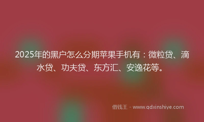 2025年的黑户怎么分期苹果手机有：微粒贷、滴水贷、功夫贷、东方汇、安逸花等。