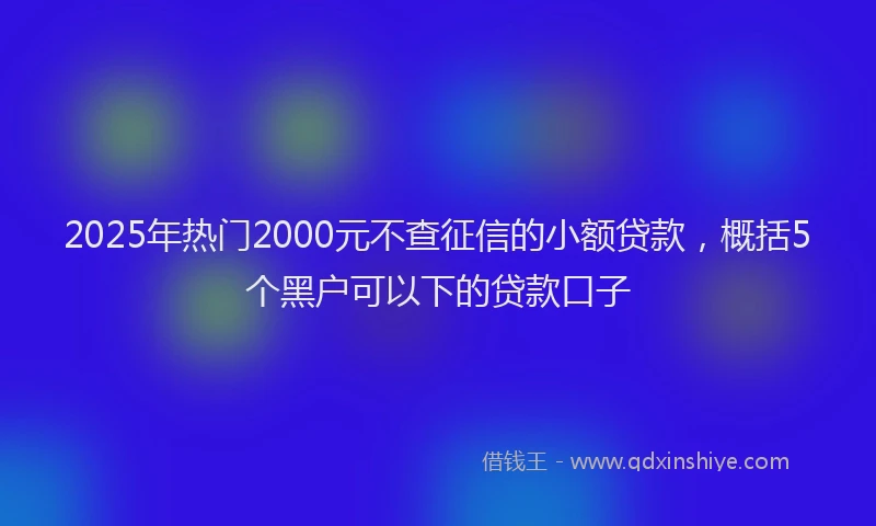 2025年热门2000元不查征信的小额贷款，概括5个黑户可以下的贷款口子