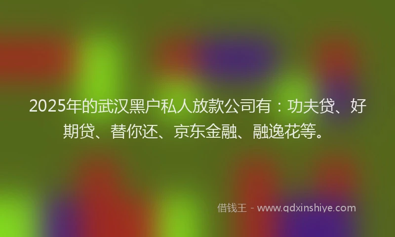 2025年的武汉黑户私人放款公司有：功夫贷、好期贷、替你还、京东金融、融逸花等。