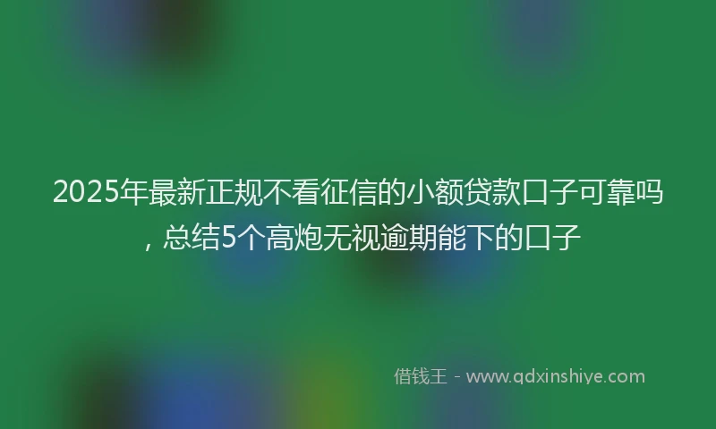 2025年最新正规不看征信的小额贷款口子可靠吗，总结5个高炮无视逾期能下的口子