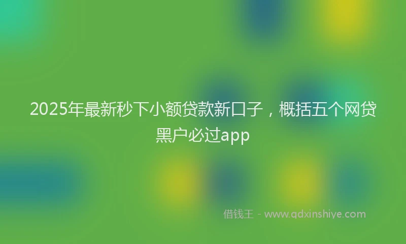 2025年最新秒下小额贷款新口子，概括五个网贷黑户必过app