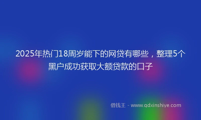 2025年热门18周岁能下的网贷有哪些，整理5个黑户成功获取大额贷款的口子