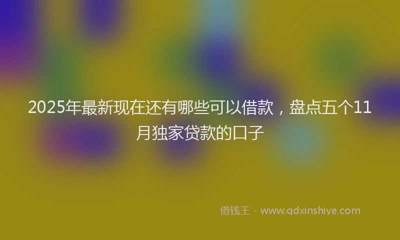 2025年最新现在还有哪些可以借款，盘点五个11月独家贷款的口子