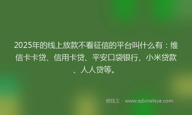 2025年的线上放款不看征信的平台叫什么有：维信卡卡贷、信用卡贷、平安口袋银行、小米贷款、人人贷等。