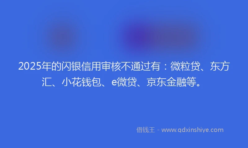 2025年的闪银信用审核不通过有：微粒贷、东方汇、小花钱包、e微贷、京东金融等。