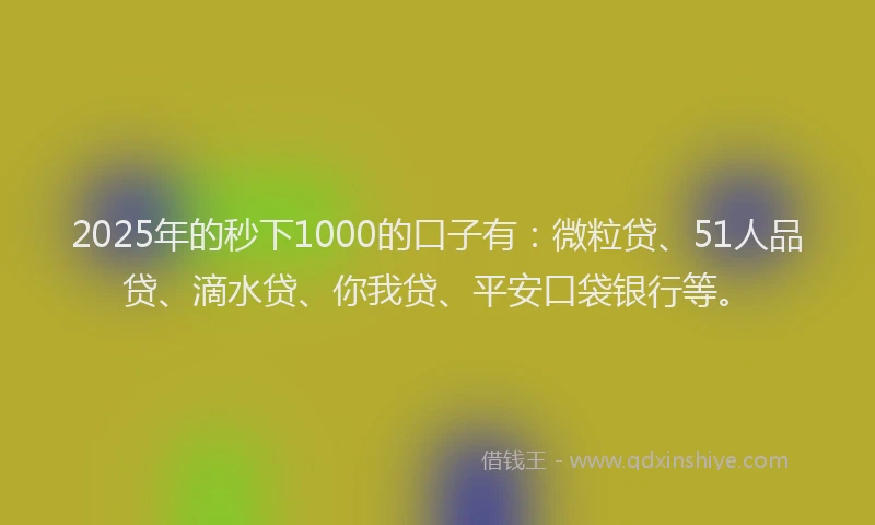 2025年的秒下1000的口子有：微粒贷、51人品贷、滴水贷、你我贷、平安口袋银行等。