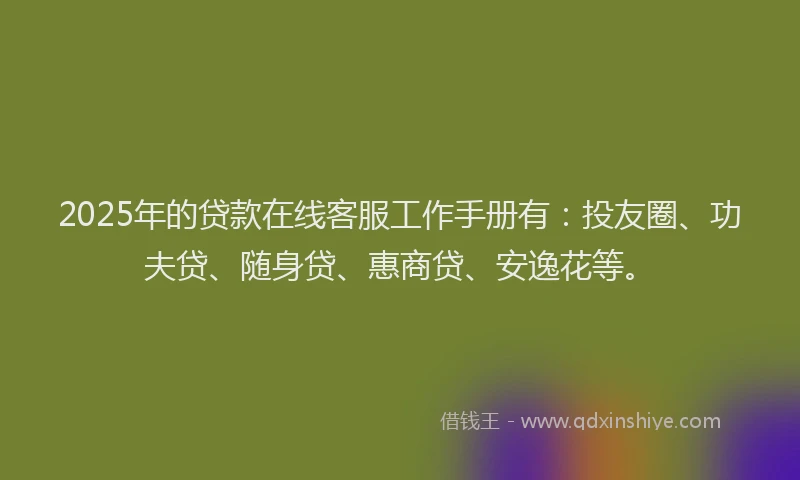 2025年的贷款在线客服工作手册有：投友圈、功夫贷、随身贷、惠商贷、安逸花等。