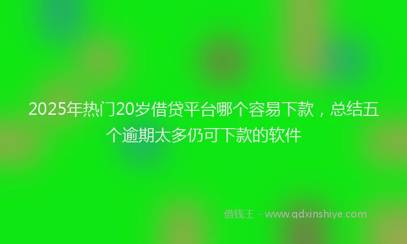 2025年热门20岁借贷平台哪个容易下款，总结五个逾期太多仍可下款的软件