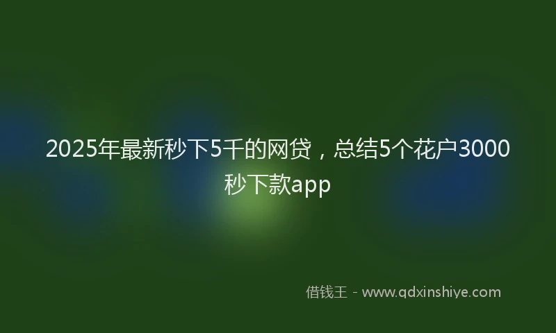 2025年最新秒下5千的网贷，总结5个花户3000秒下款app