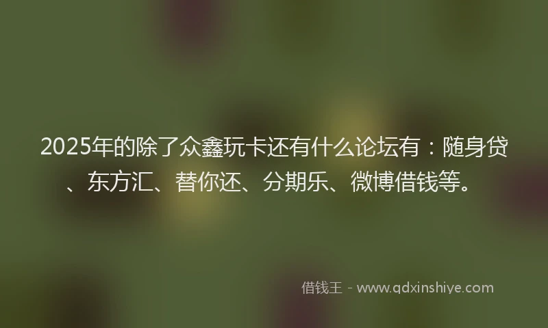 2025年的除了众鑫玩卡还有什么论坛有：随身贷、东方汇、替你还、分期乐、微博借钱等。