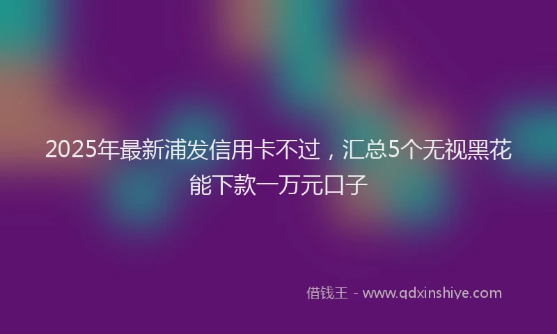 2025年最新浦发信用卡不过，汇总5个无视黑花能下款一万元口子