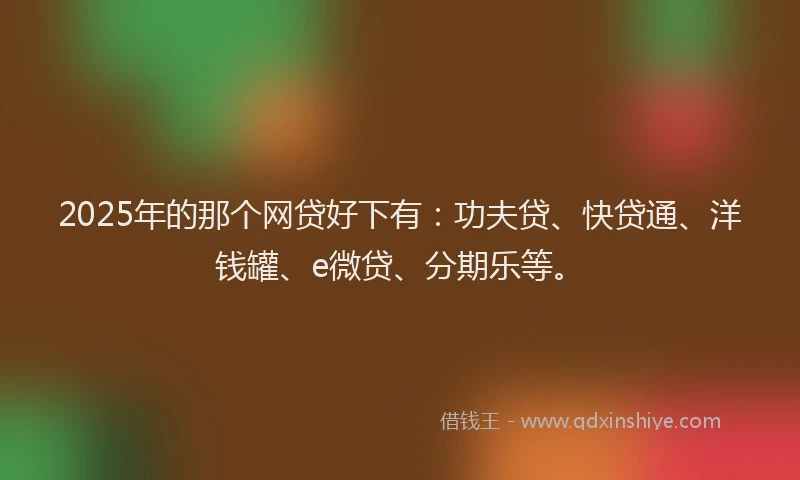 2025年的那个网贷好下有：功夫贷、快贷通、洋钱罐、e微贷、分期乐等。