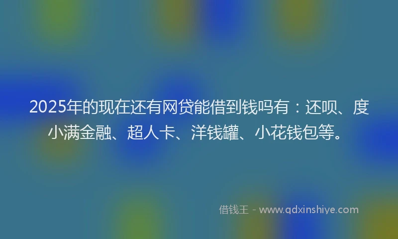 2025年的现在还有网贷能借到钱吗有：还呗、度小满金融、超人卡、洋钱罐、小花钱包等。
