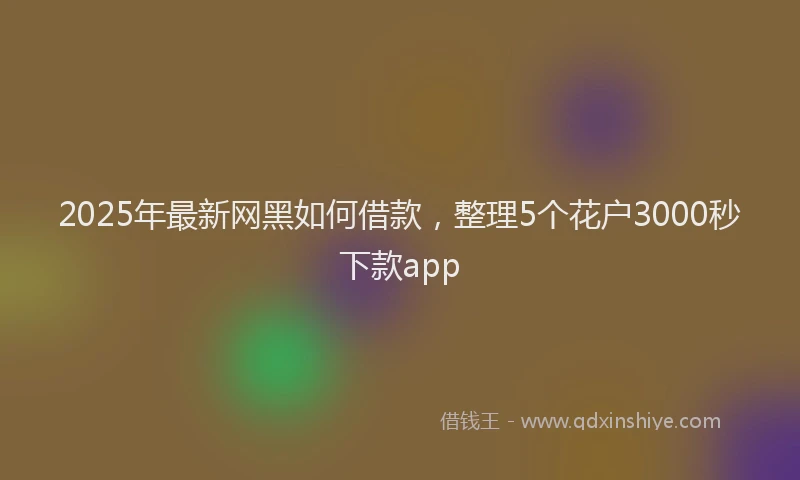 2025年最新网黑如何借款，整理5个花户3000秒下款app
