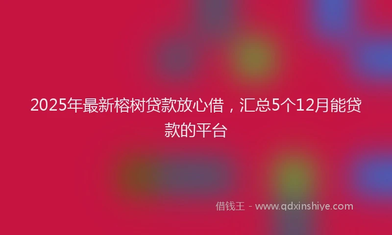 2025年最新榕树贷款放心借，汇总5个12月能贷款的平台