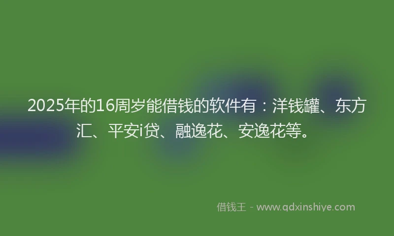 2025年的16周岁能借钱的软件有：洋钱罐、东方汇、平安i贷、融逸花、安逸花等。