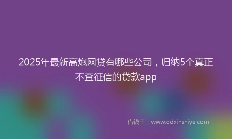 2025年最新高炮网贷有哪些公司，归纳5个真正不查征信的贷款app