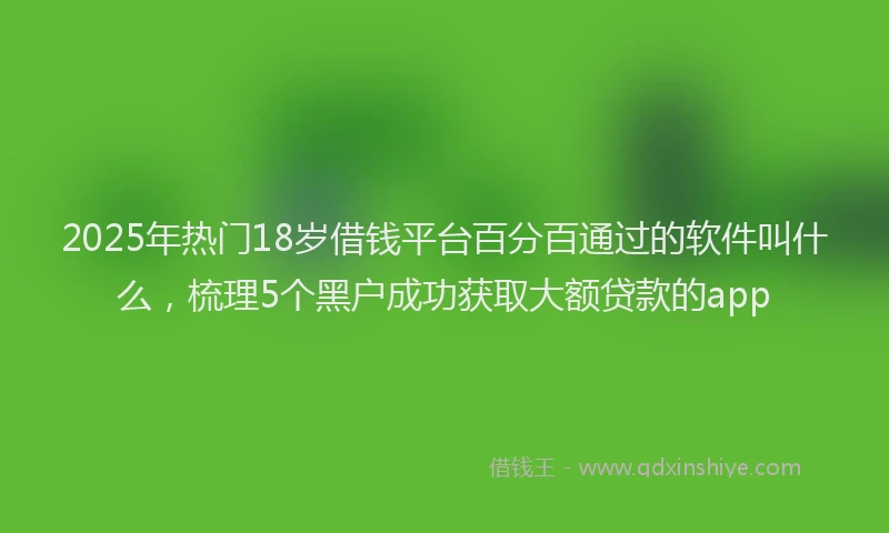 2025年热门18岁借钱平台百分百通过的软件叫什么，梳理5个黑户成功获取大额贷款的app