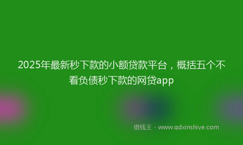 2025年最新秒下款的小额贷款平台，概括五个不看负债秒下款的网贷app