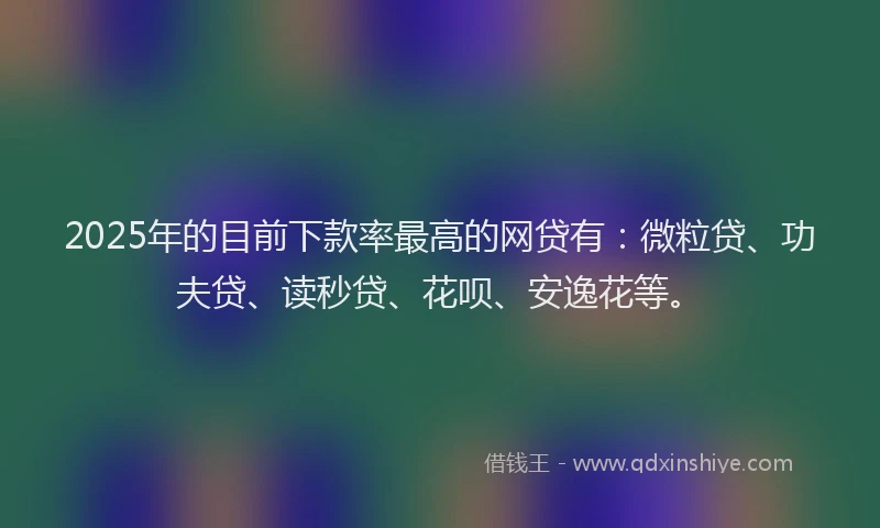 2025年的目前下款率最高的网贷有：微粒贷、功夫贷、读秒贷、花呗、安逸花等。