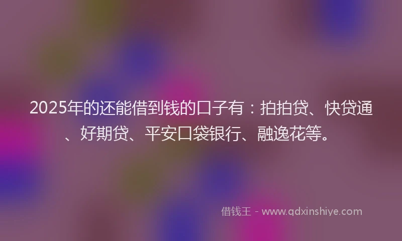 2025年的还能借到钱的口子有：拍拍贷、快贷通、好期贷、平安口袋银行、融逸花等。