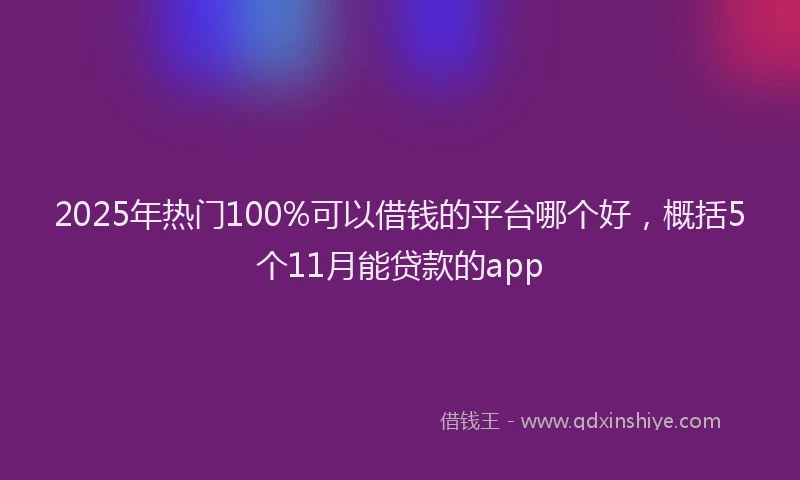 2025年热门100%可以借钱的平台哪个好，概括5个11月能贷款的app