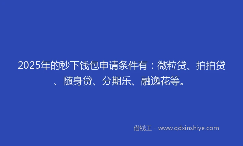 2025年的秒下钱包申请条件有：微粒贷、拍拍贷、随身贷、分期乐、融逸花等。